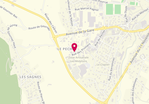 Plan de Eclairemotion, 1 Rue des Cerisiers, 43120 Monistrol-sur-Loire